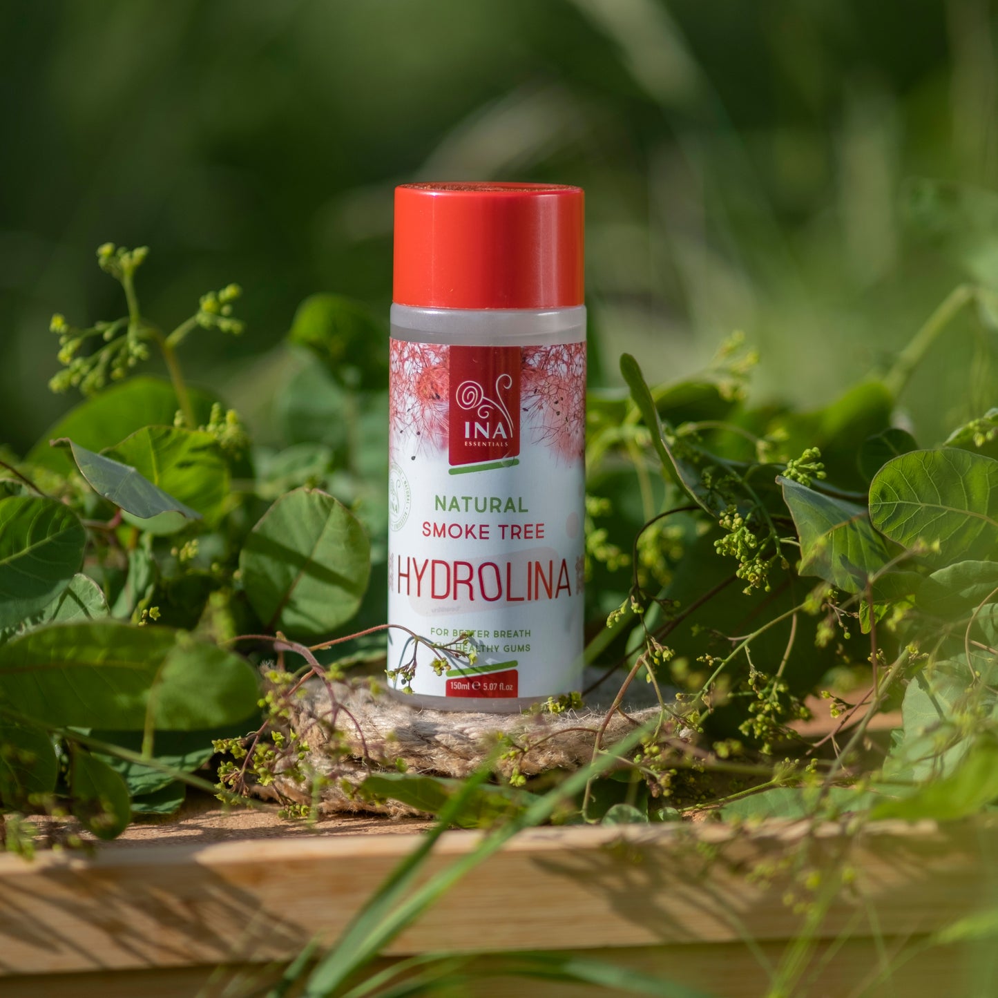 + Poklon Voda Ruja za ispiranje usta (Sumac) - Hydrolina - za krvarenje desni i loš zadah