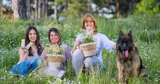 Uzroci Ekcema: Šta ga pokreće i kako nam kamilica može pomoći?