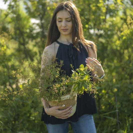 Kako je porodični brend stvorio prirodno rešenje protiv krvarenja desni i lošeg zadaha sa ovom magičnom biljkom.